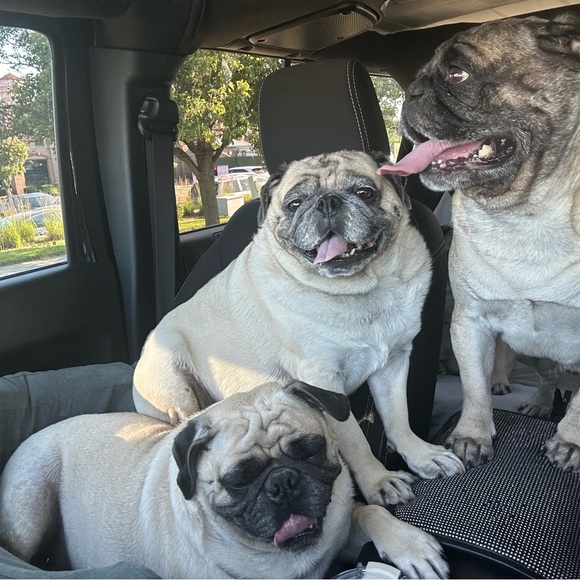 Meet your Posher, Lydia - Picture 15 of 17